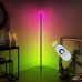 Touch-Sensitive Remote Control Smart LED Floor Lamp