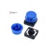 12mm Push Button with Cap